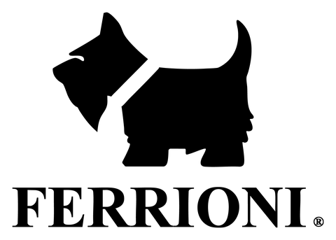 Ferrioni